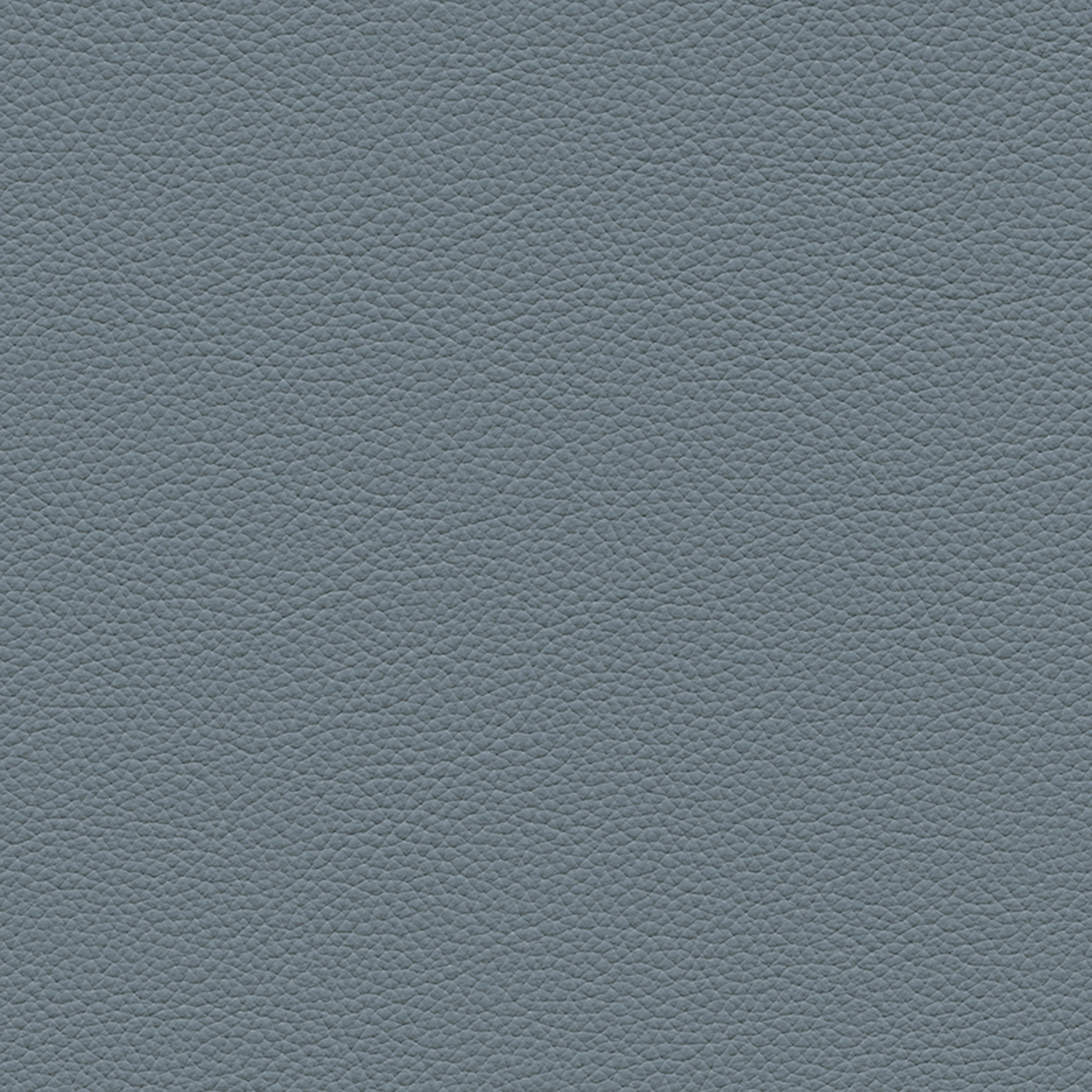 Periwinkle