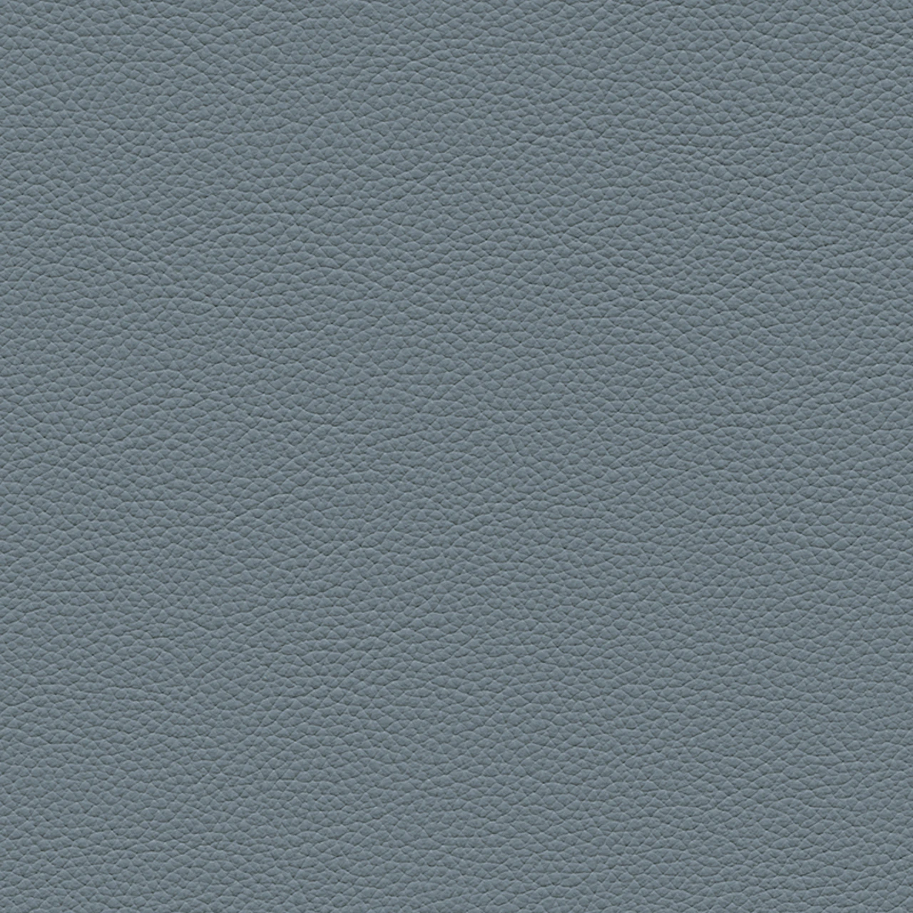 Periwinkle