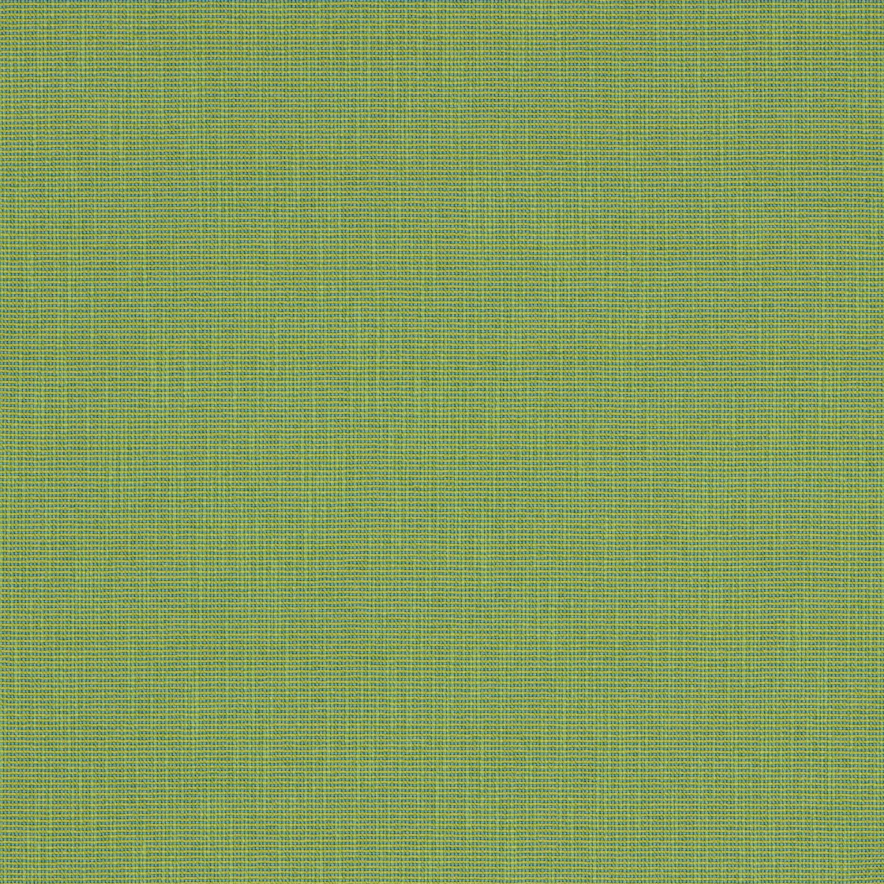 Clover