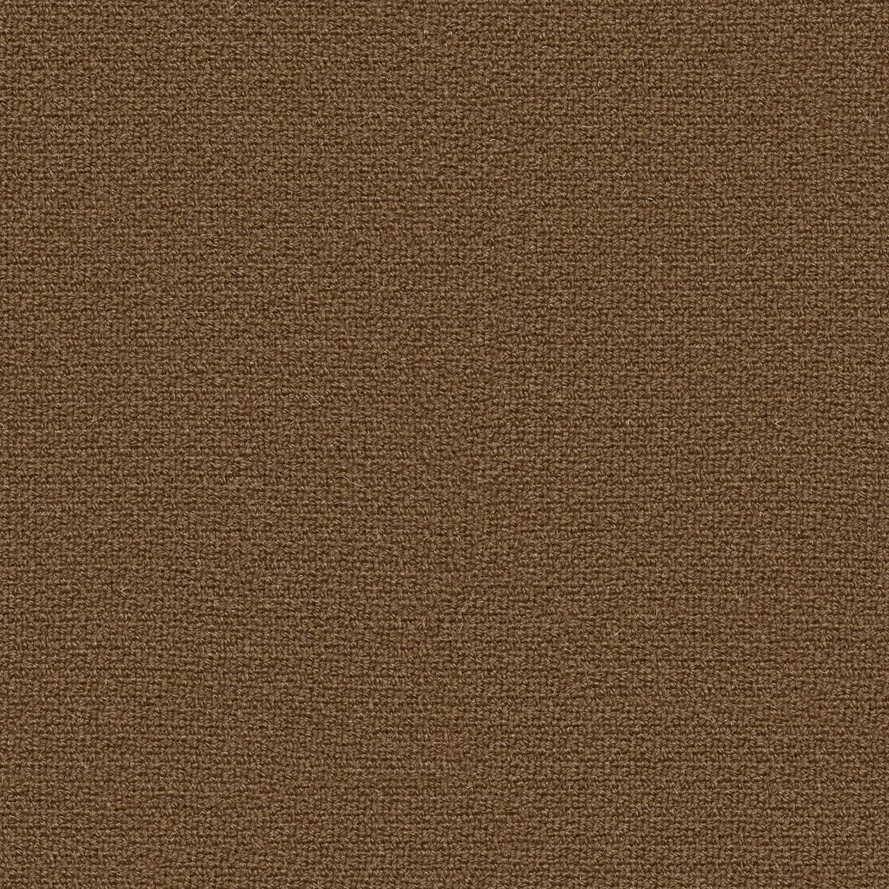 Mocha