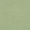 Algae
