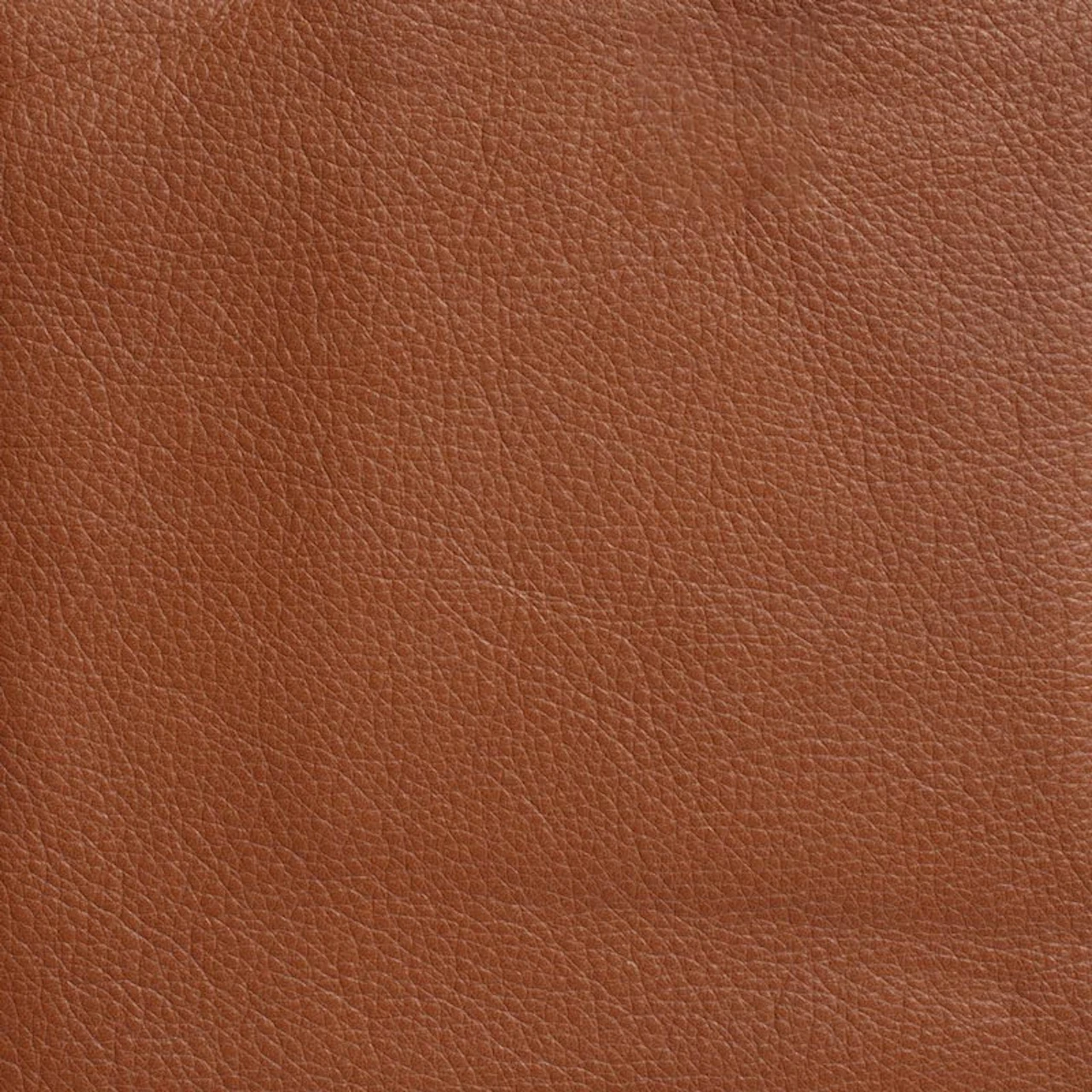 Taco