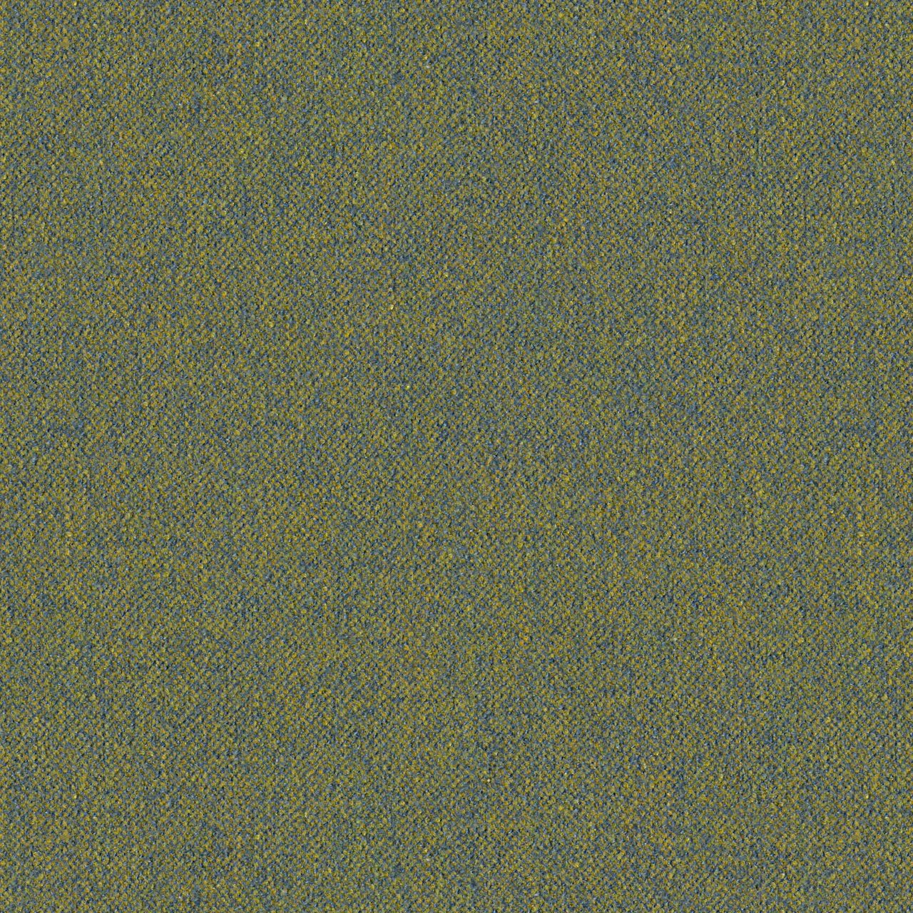 Thuja
