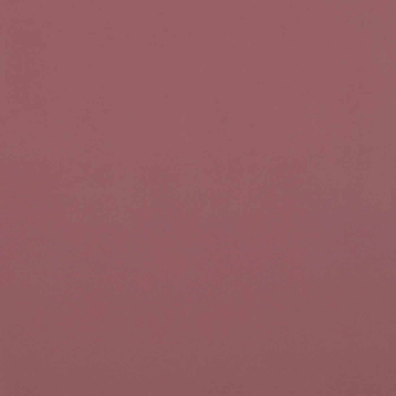 Sorbet