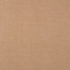 Bronzewing