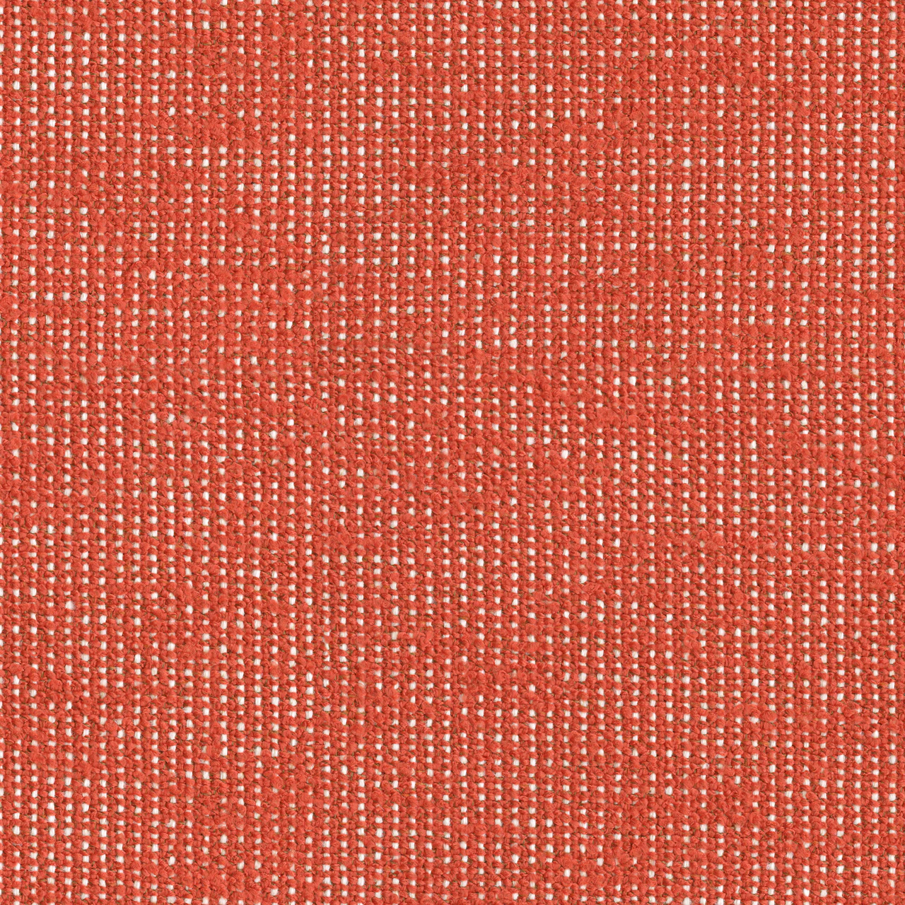Orange / White