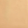 Raw Silk