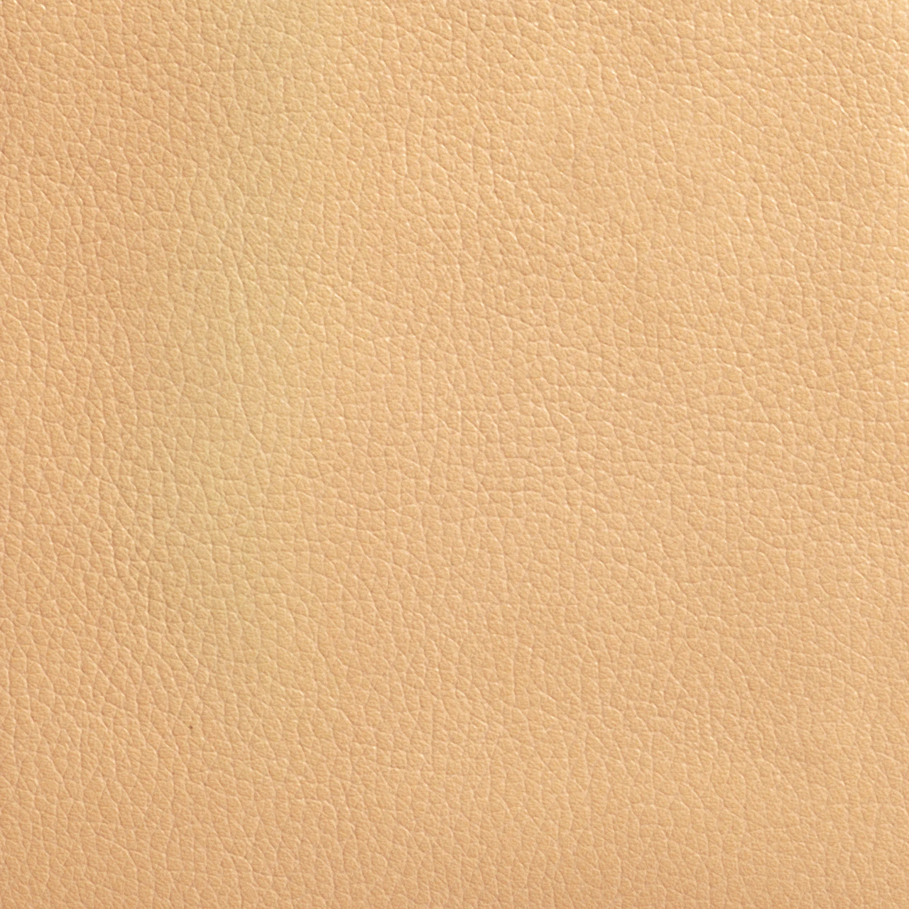 Raw Silk