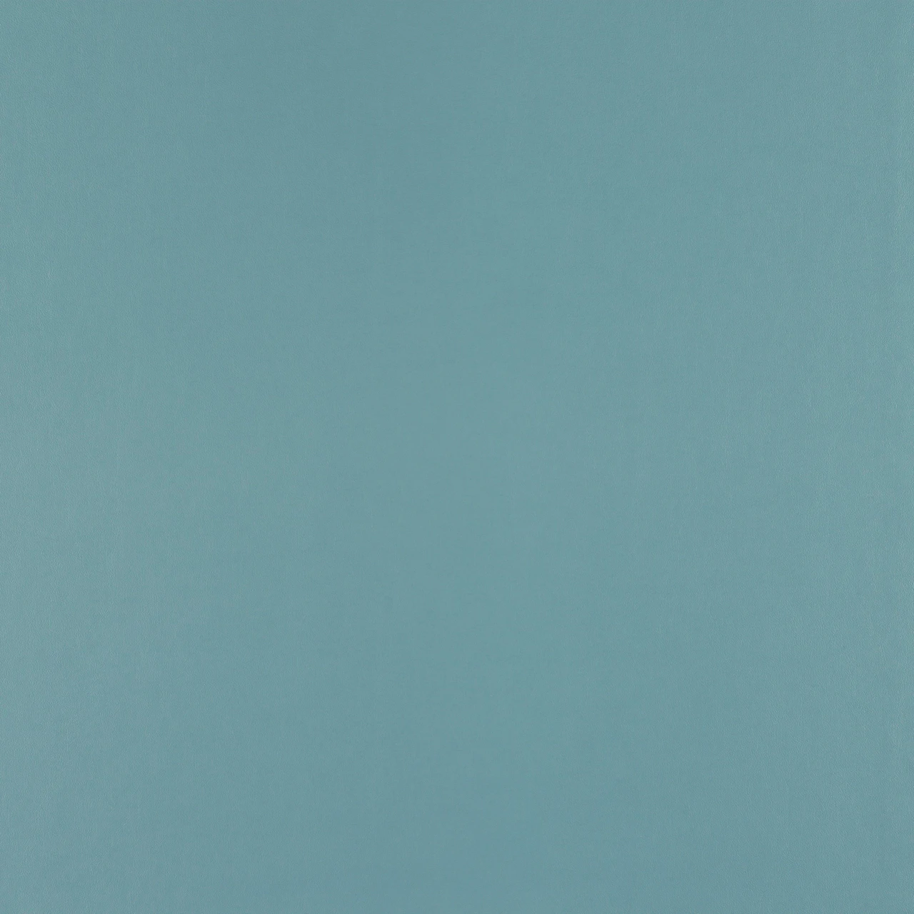 Bluebird