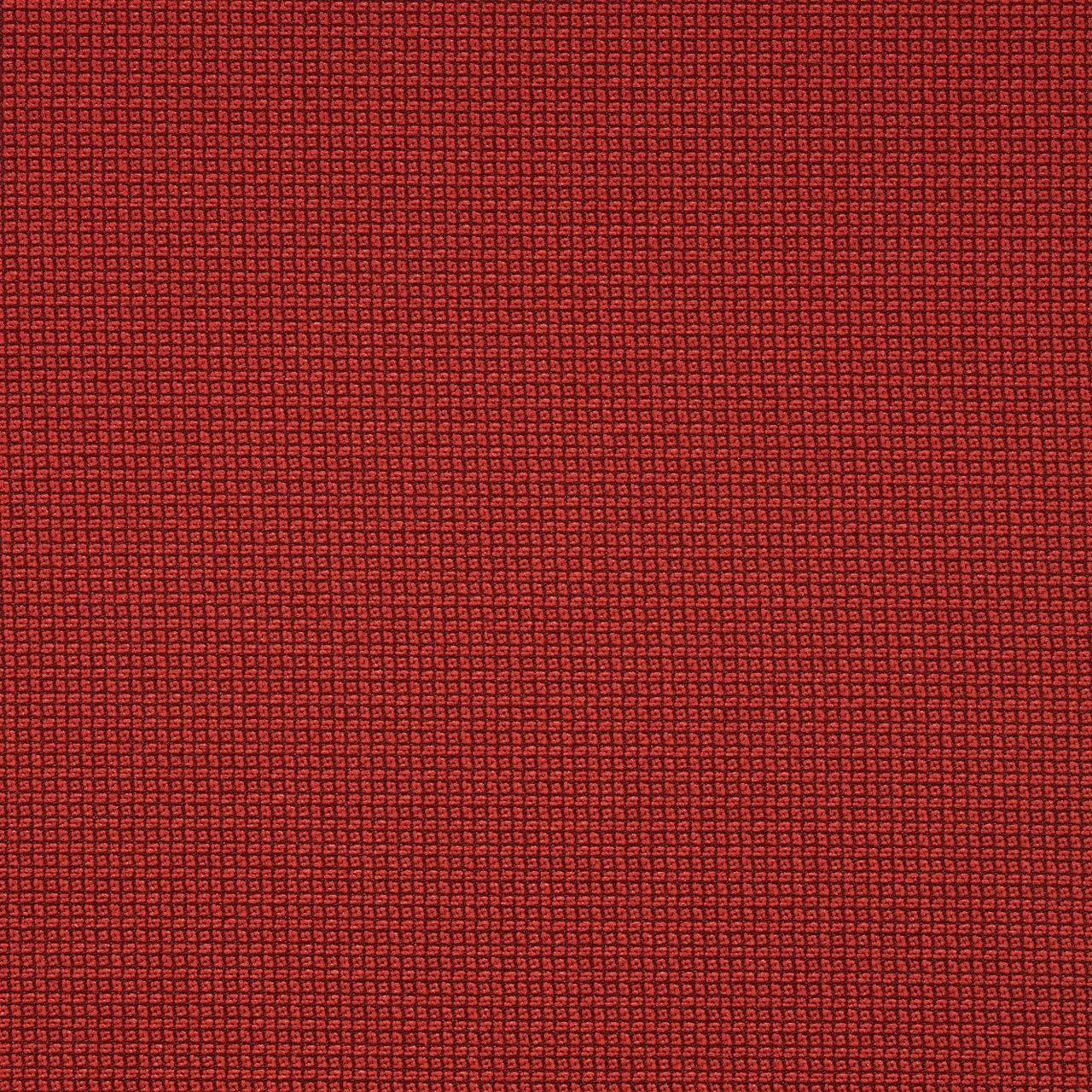 Cardinal