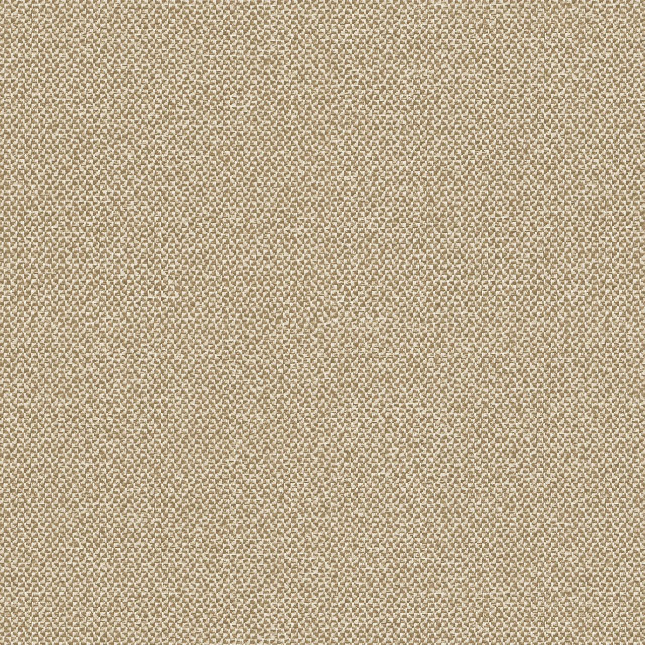 Cork