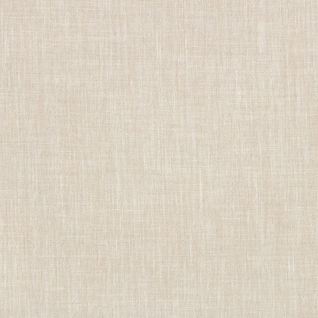 Spirula