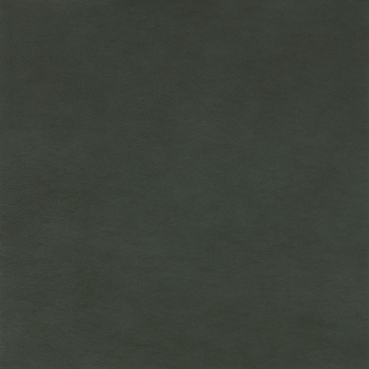 Oolong