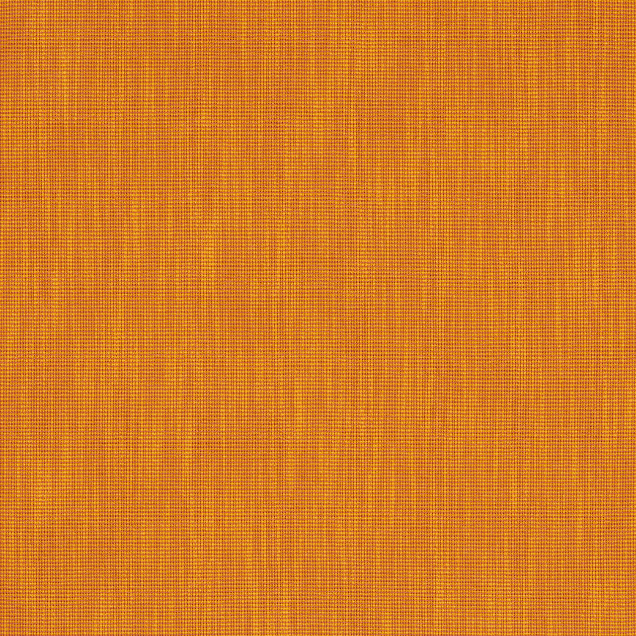 Marigold
