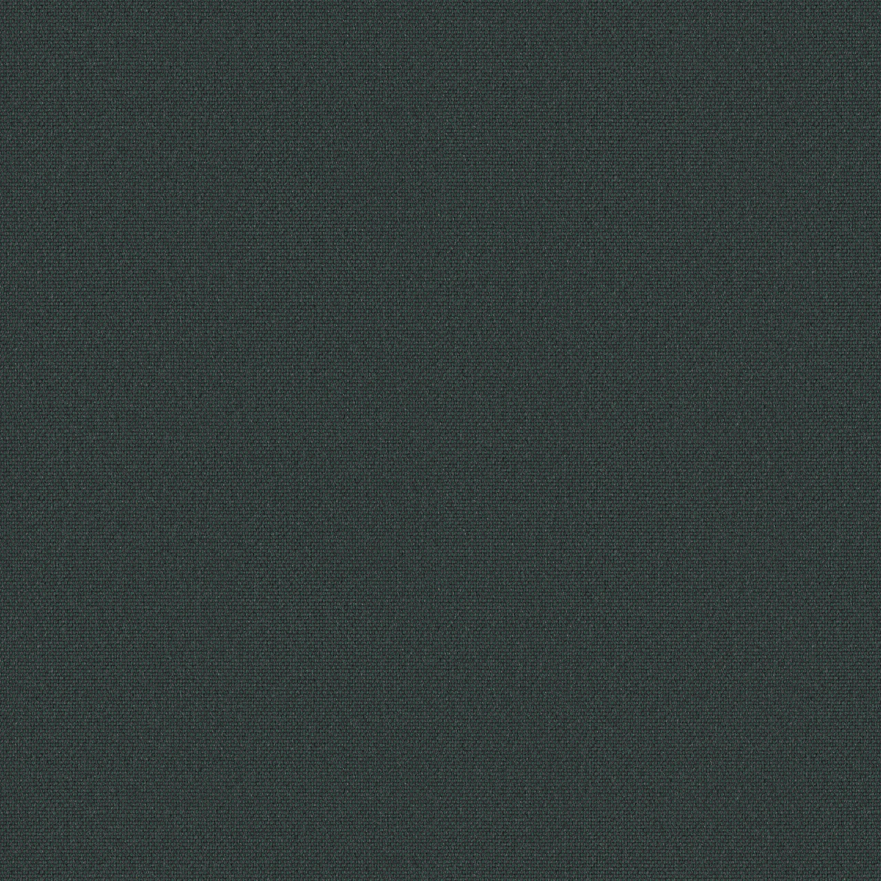 Fir