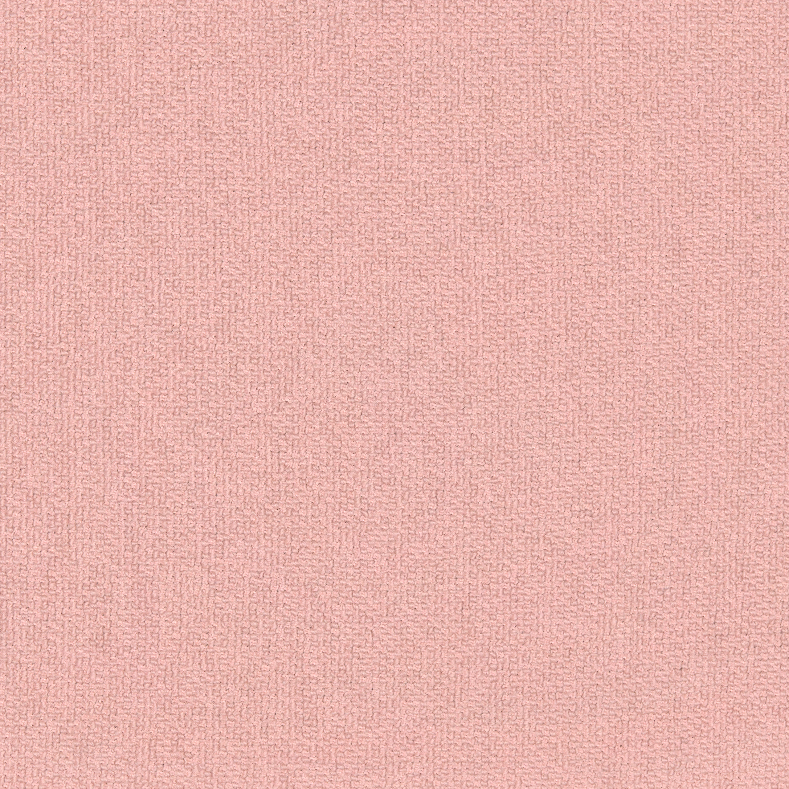 Tamarisk