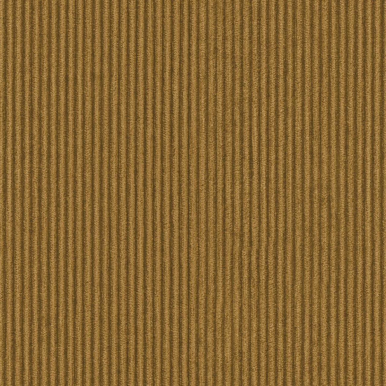 Pecan