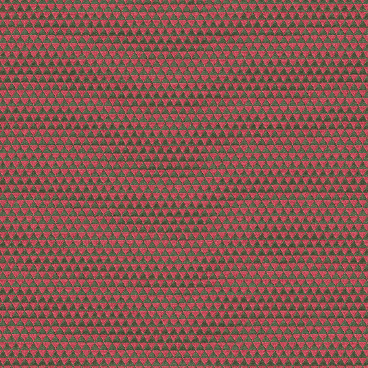 Rubus