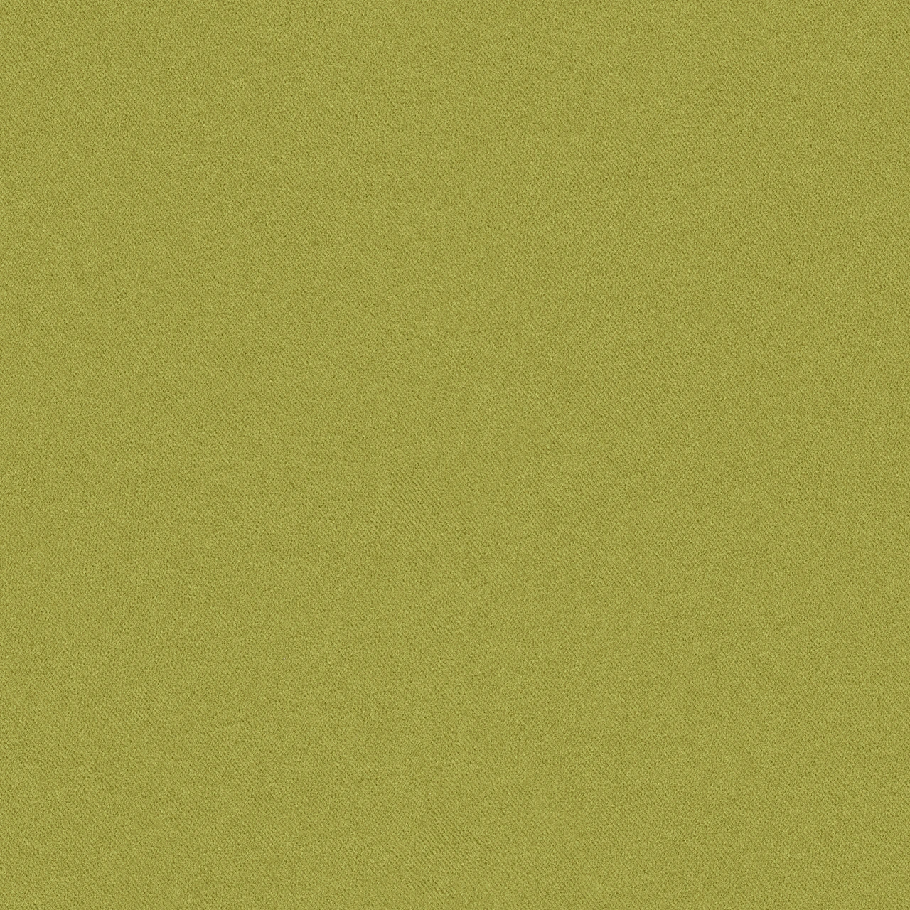 Moss