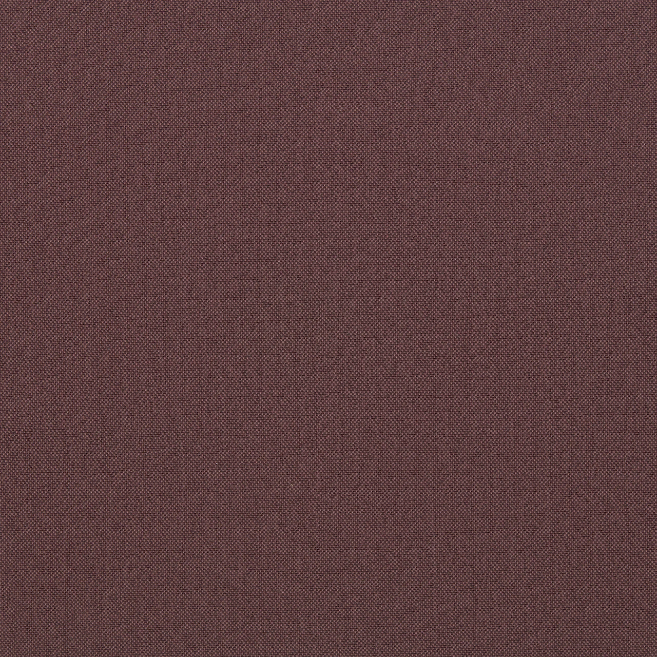 Merlot