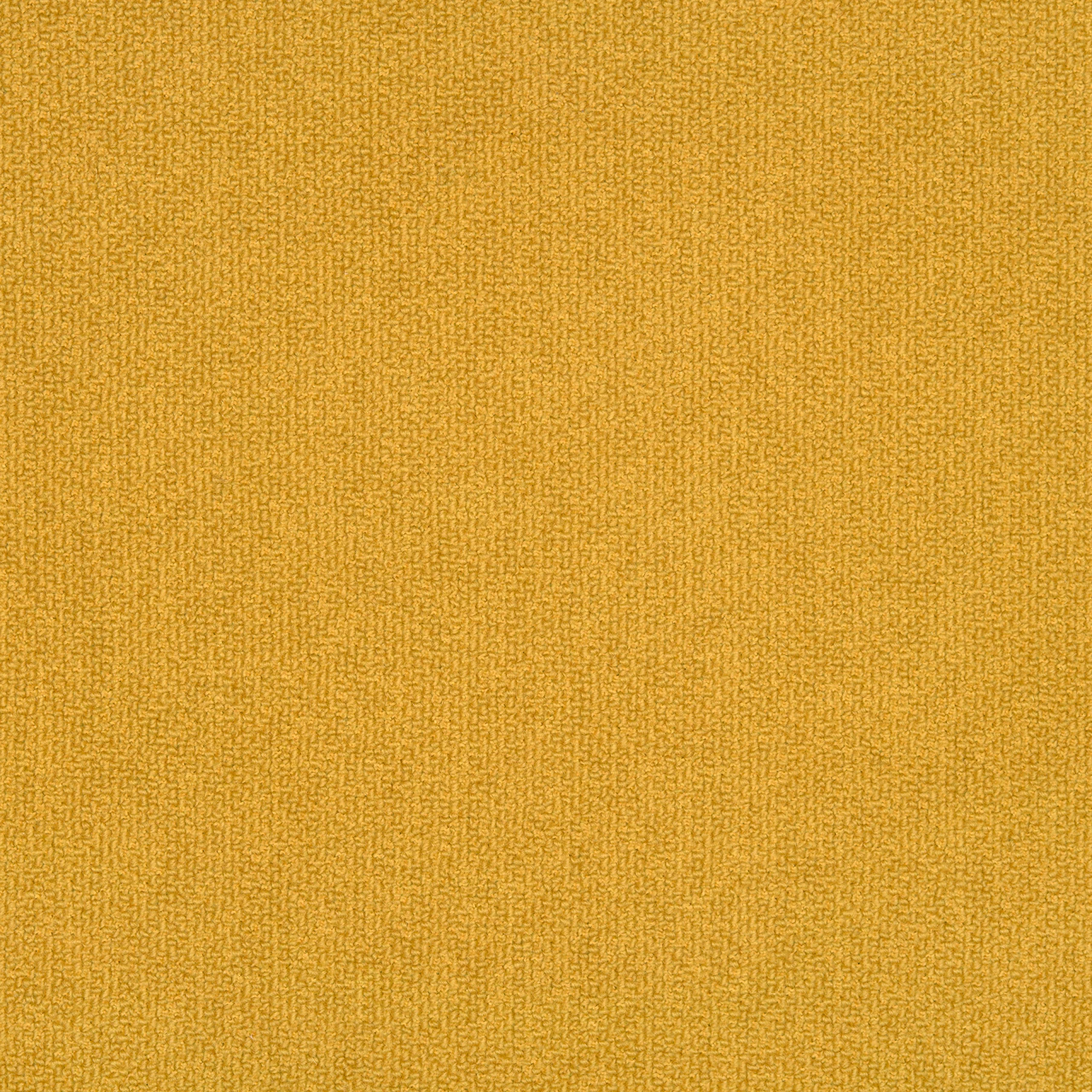 Gobi
