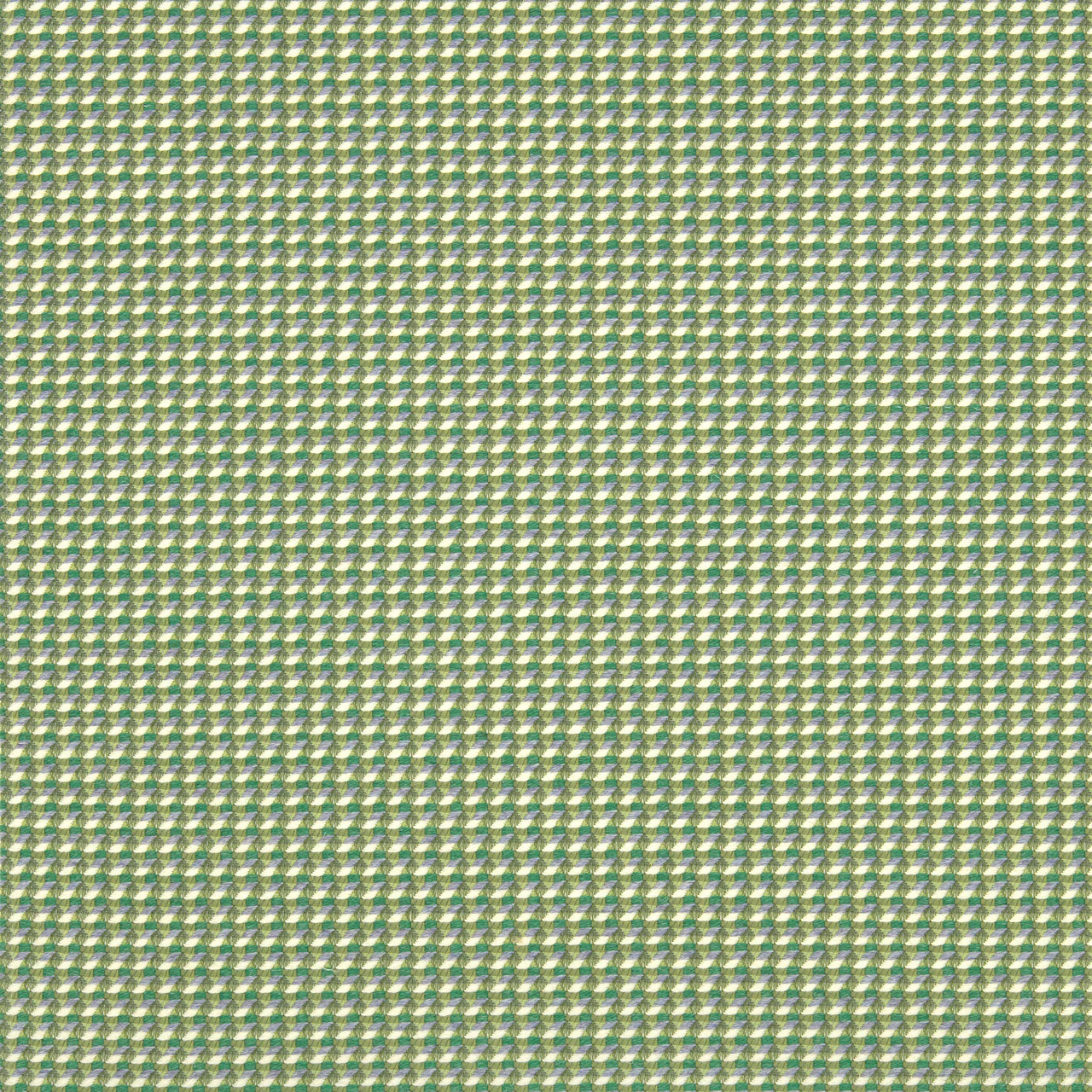 Horsetail
