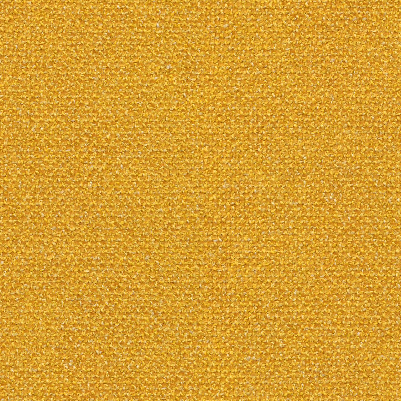 Canary