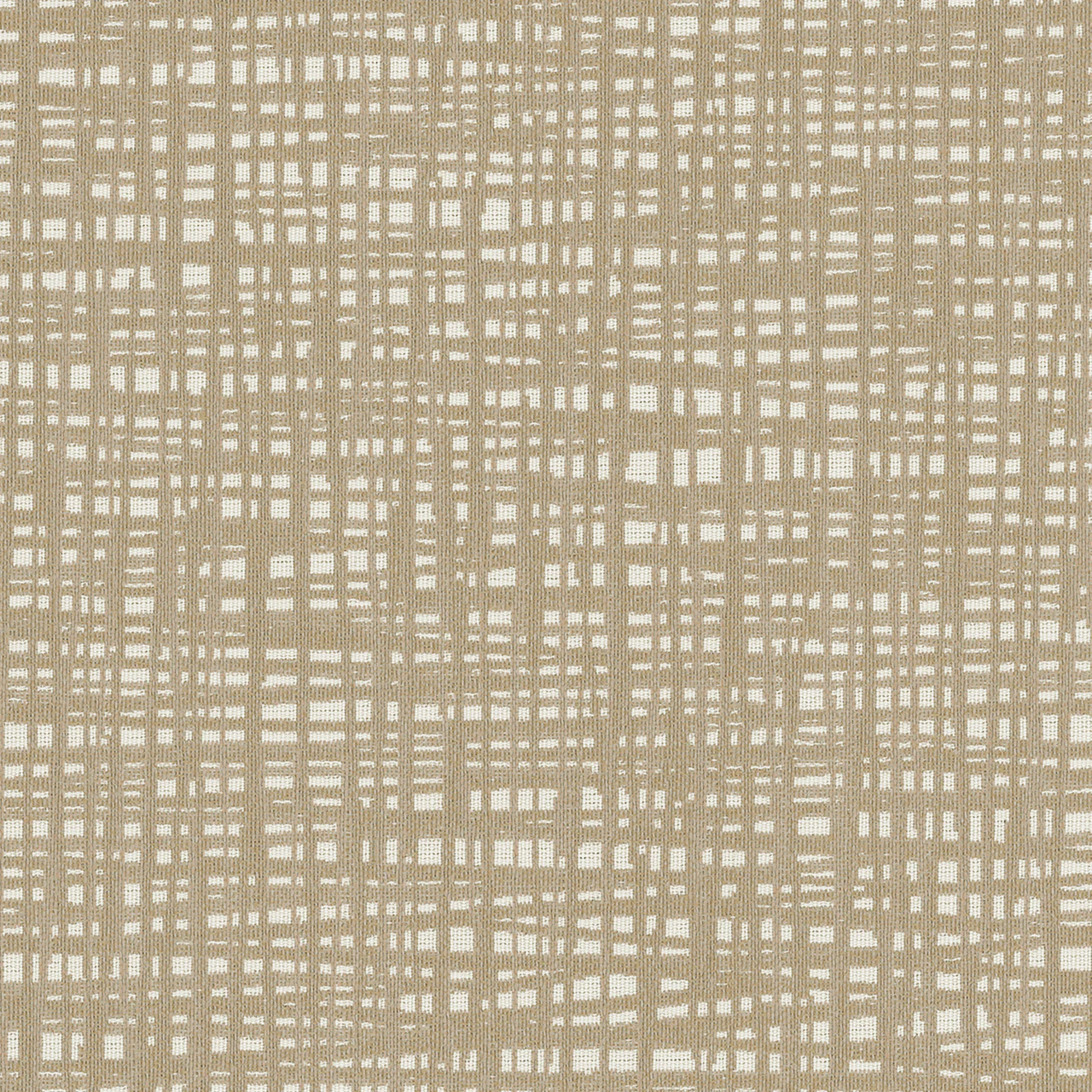 Wafer