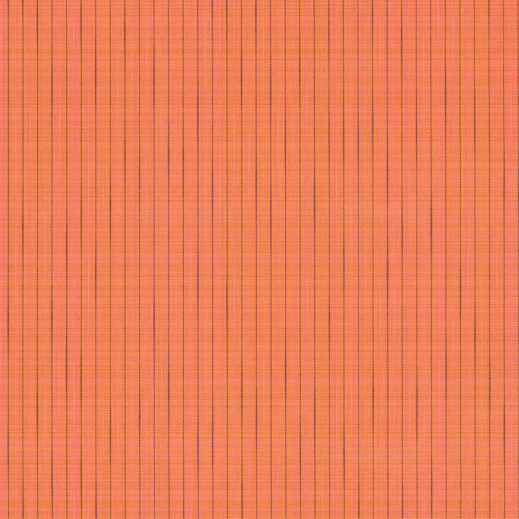 Clownfish