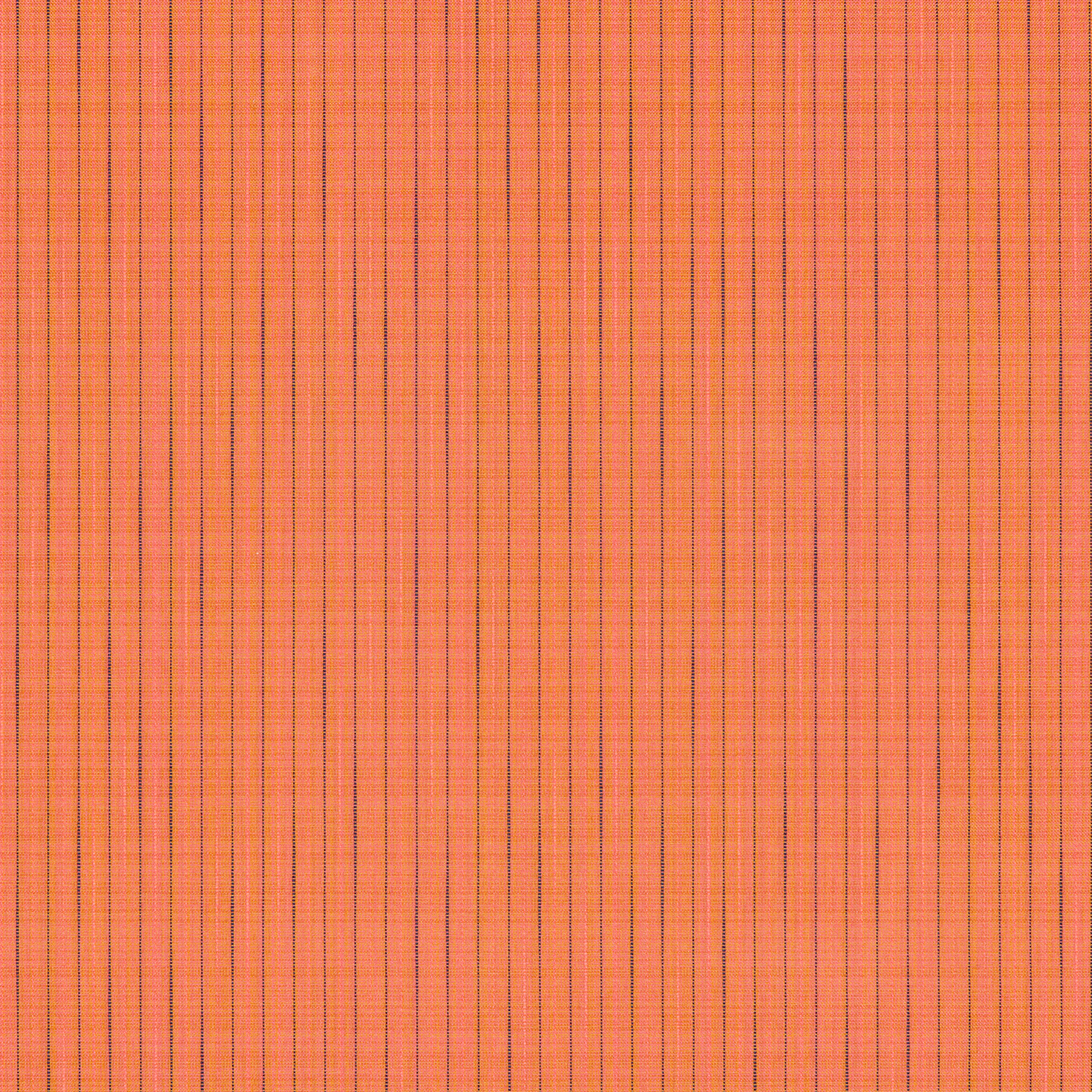 Clownfish
