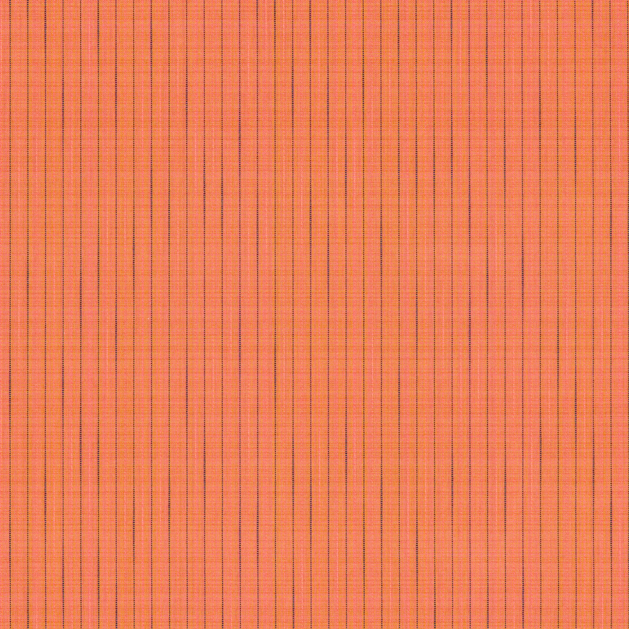 Clownfish