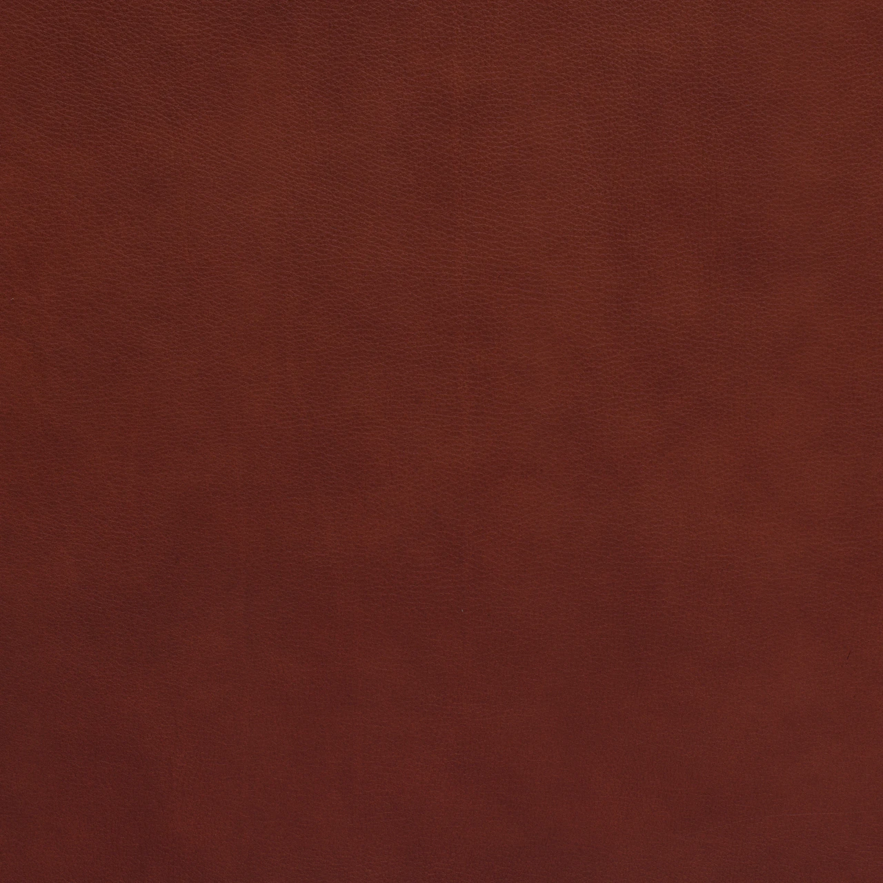 Amaretto