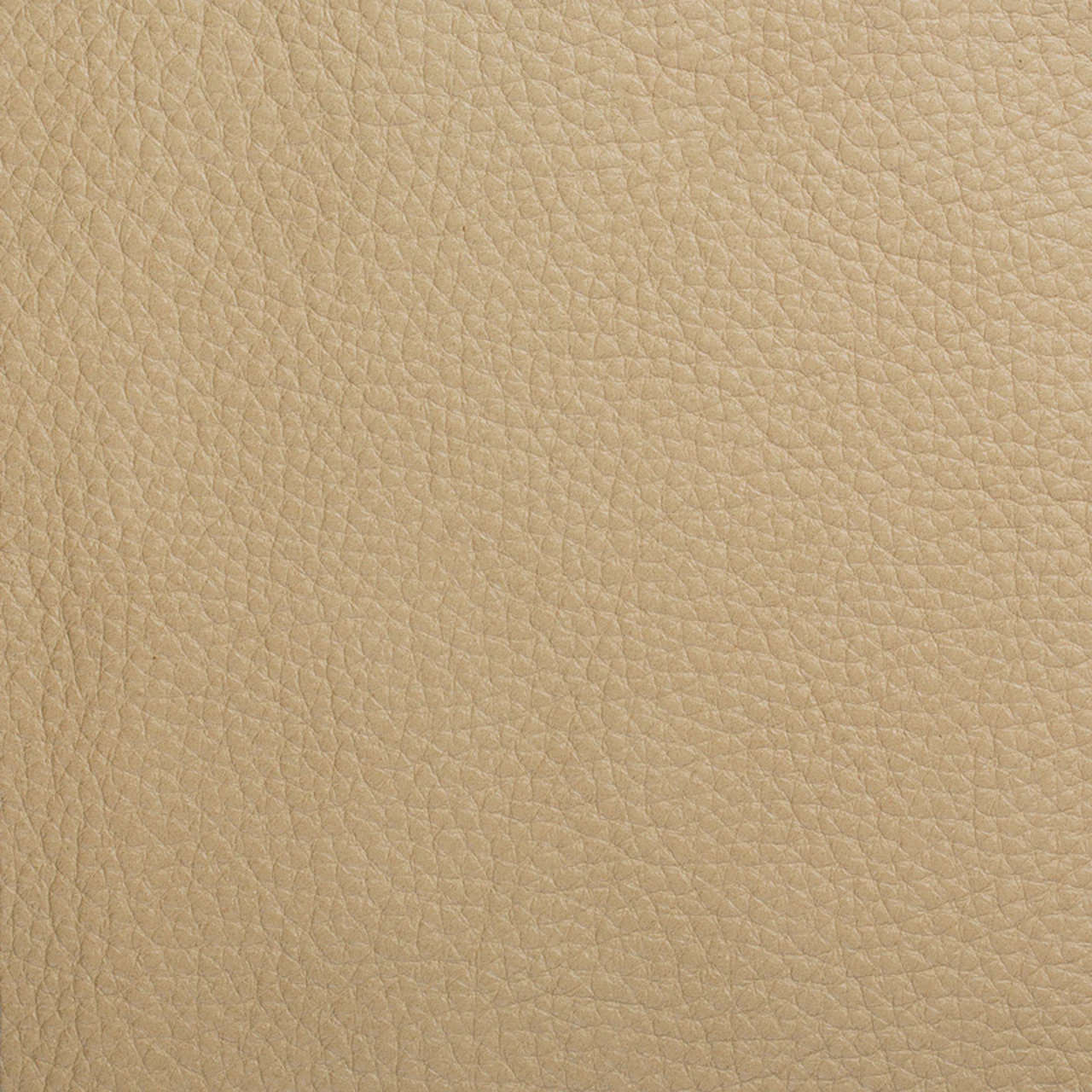 Cardboard