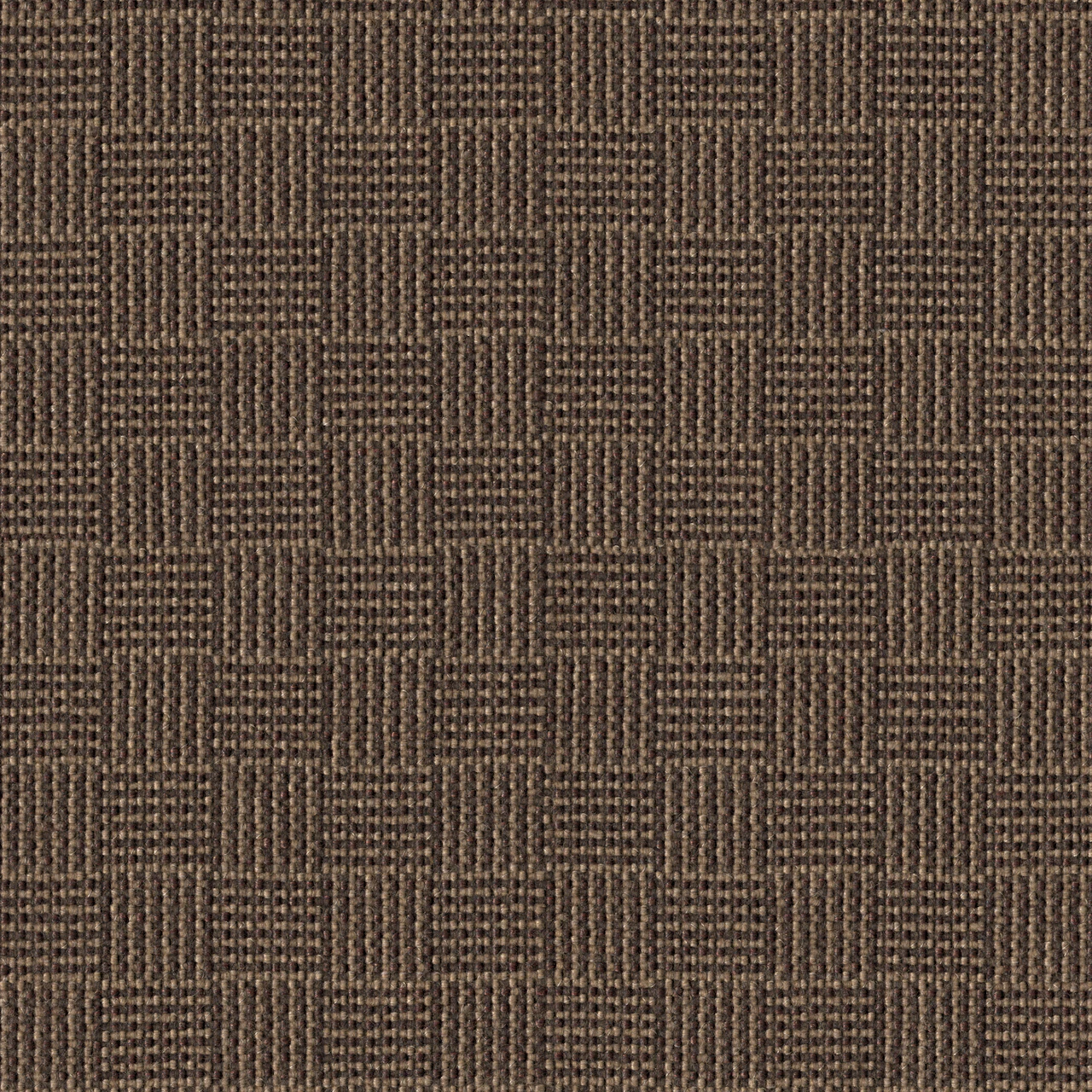Terrain