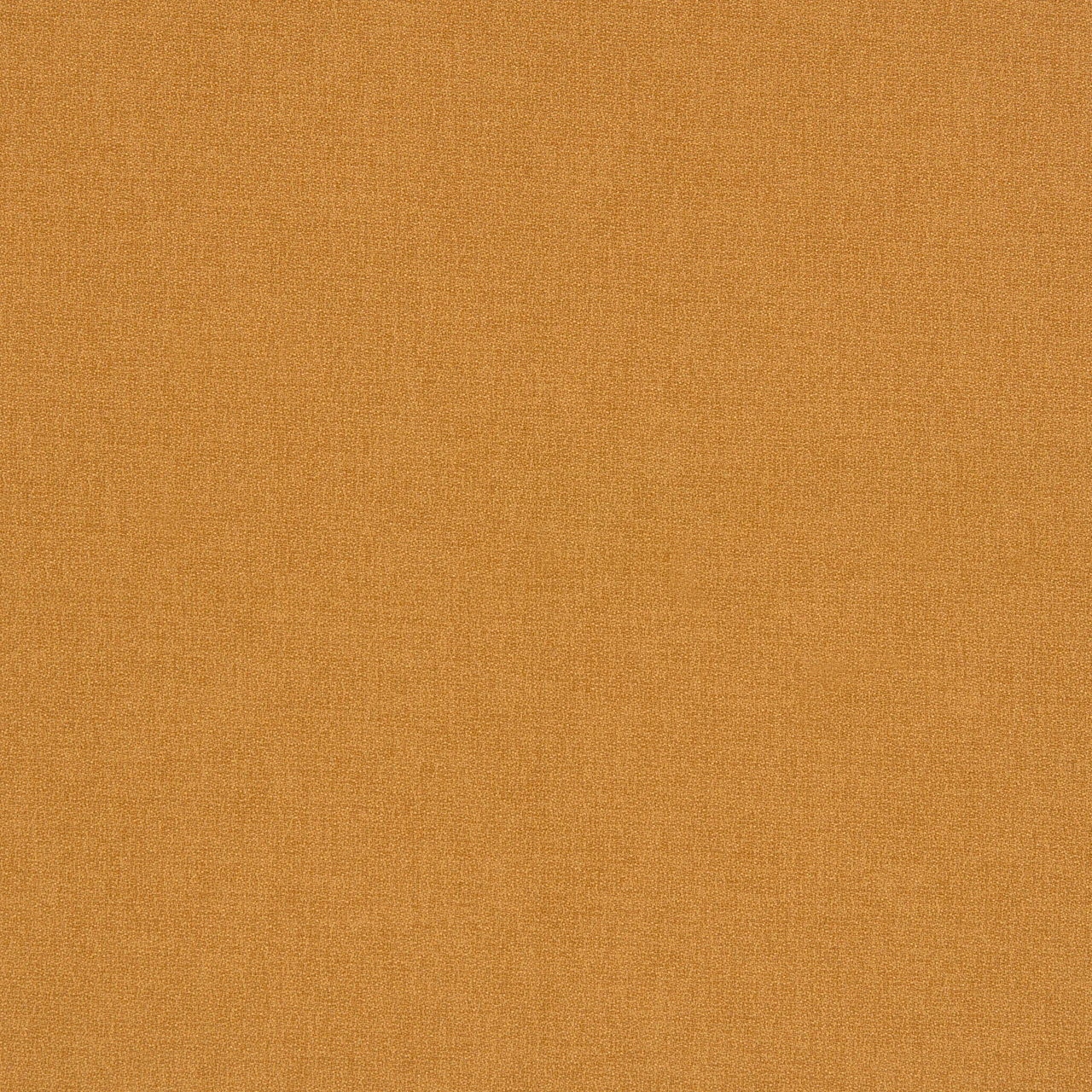 Butterscotch