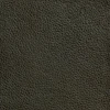 Mildew