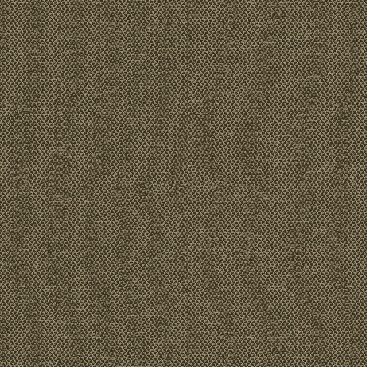 Mocha