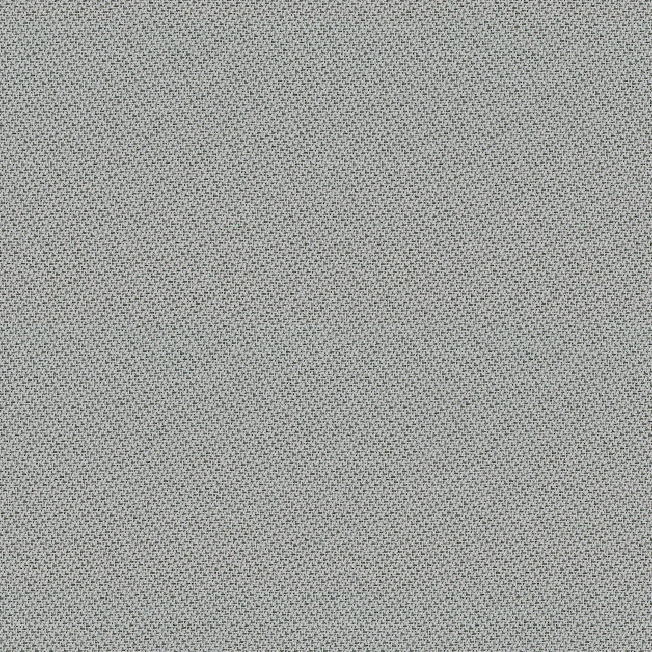 Pelican