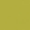 Lizard