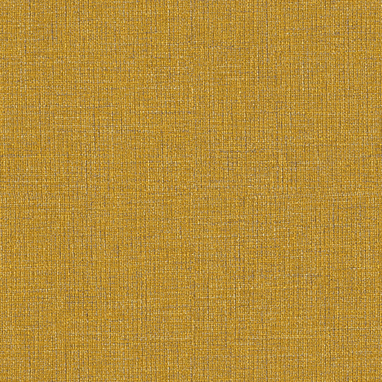 Daffodil