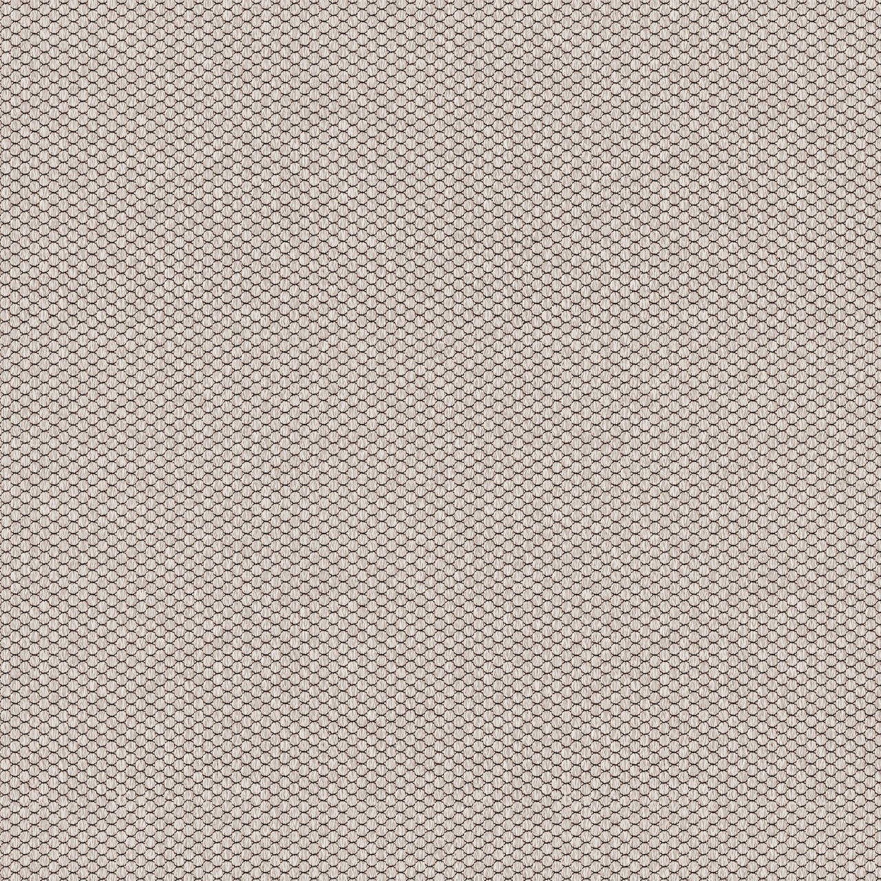 Birch