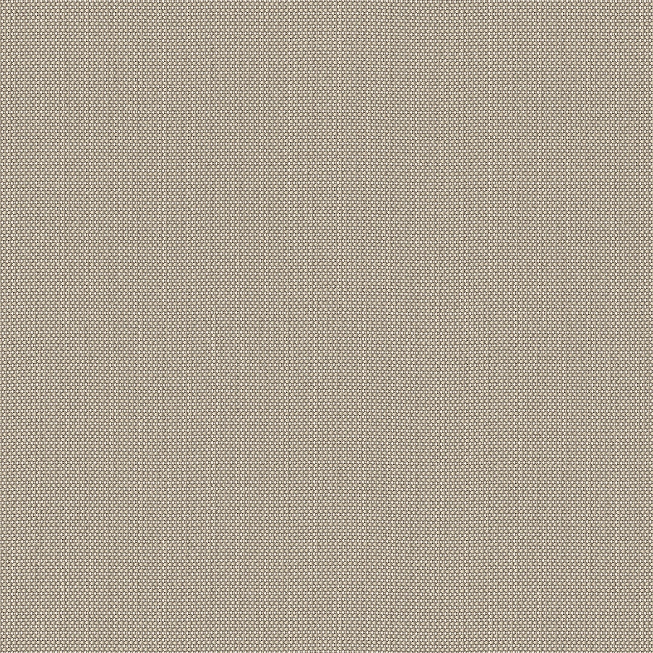 Jute