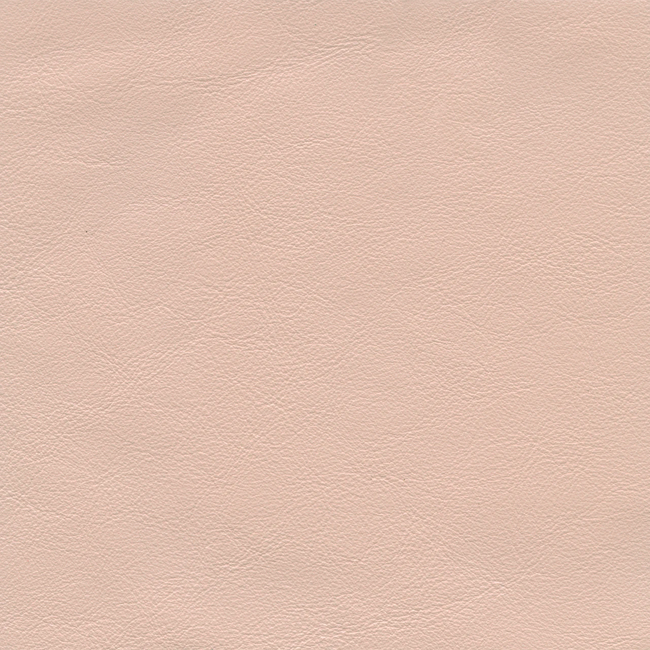 Dusky Pink