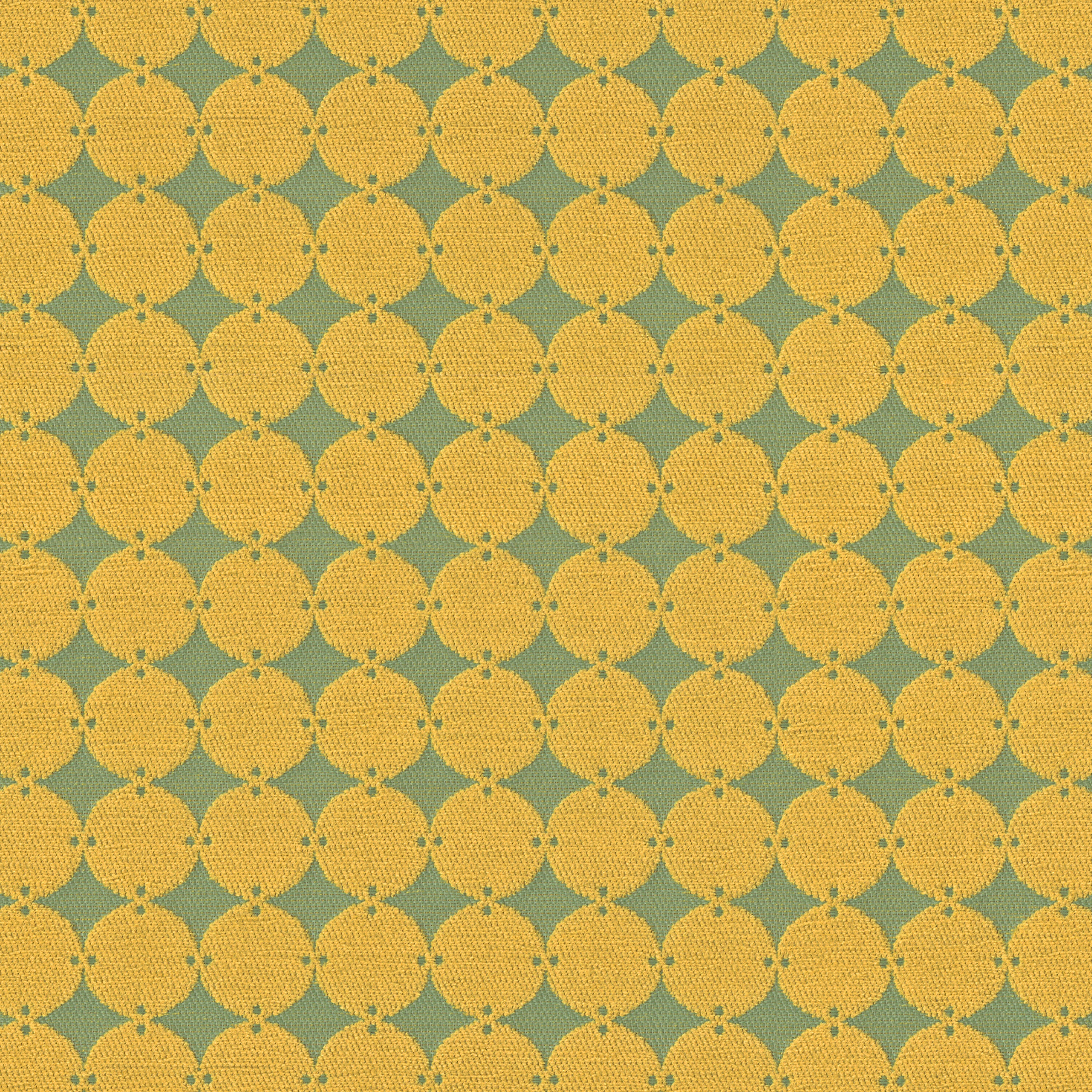 Daffodil