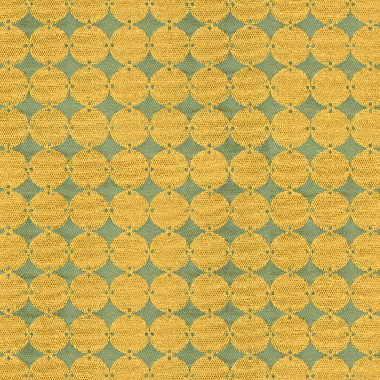 Daffodil