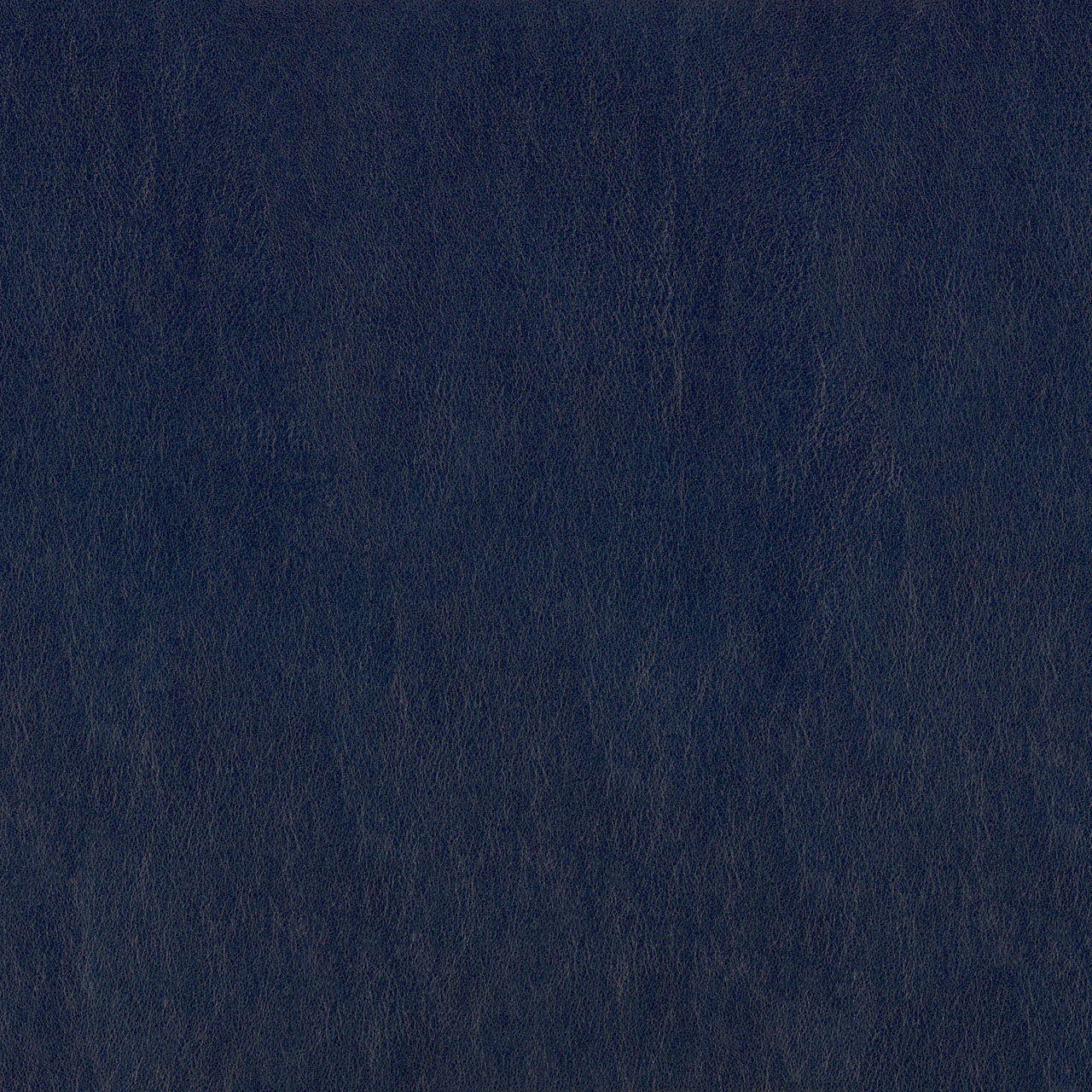 Quasar