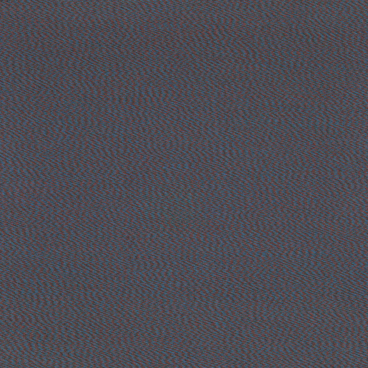 Echo