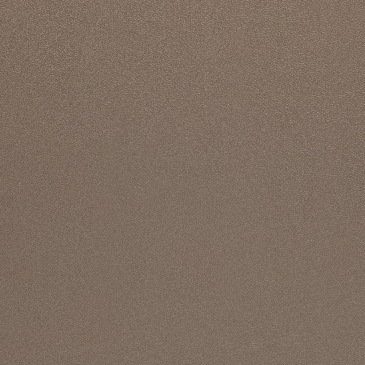 Mica