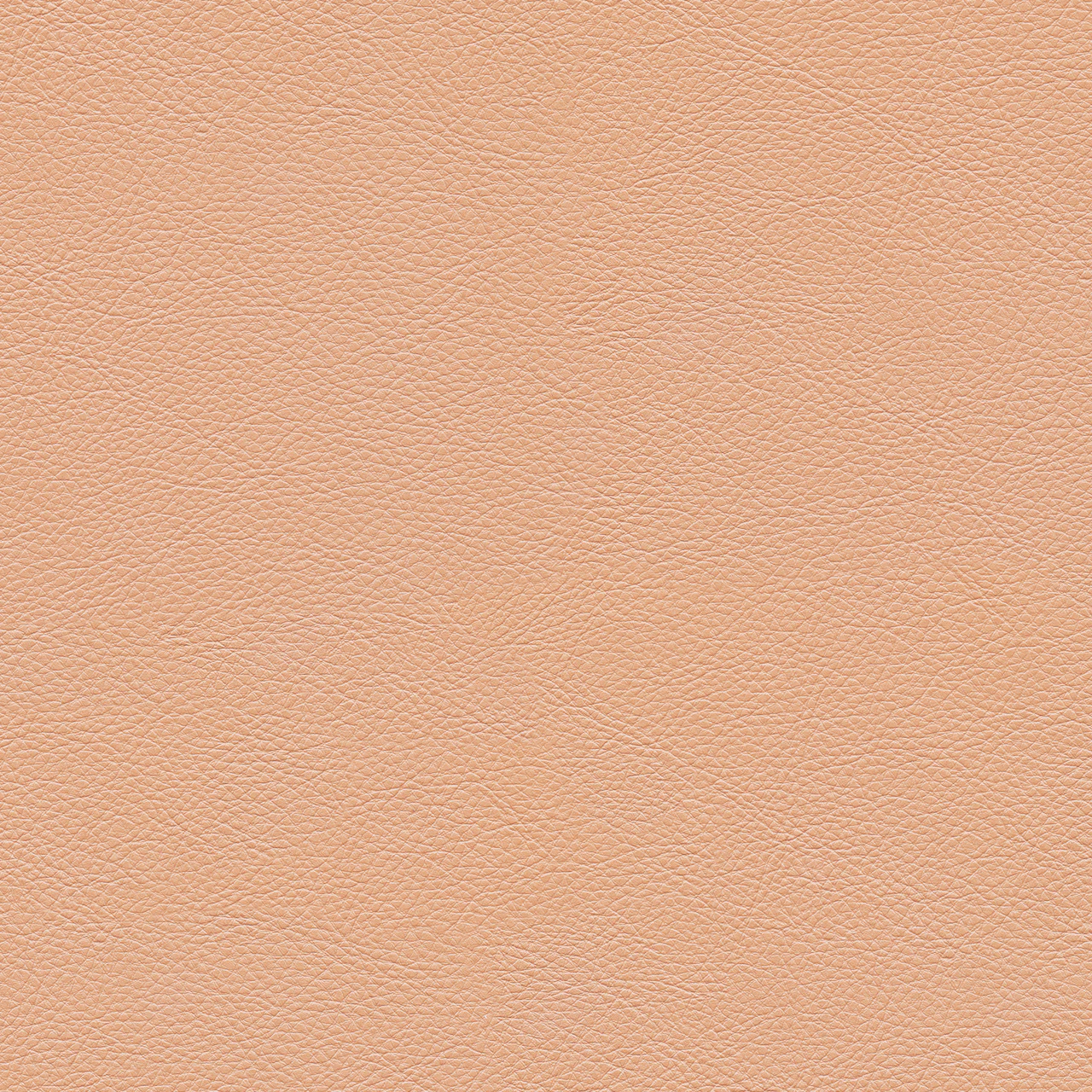 Petal