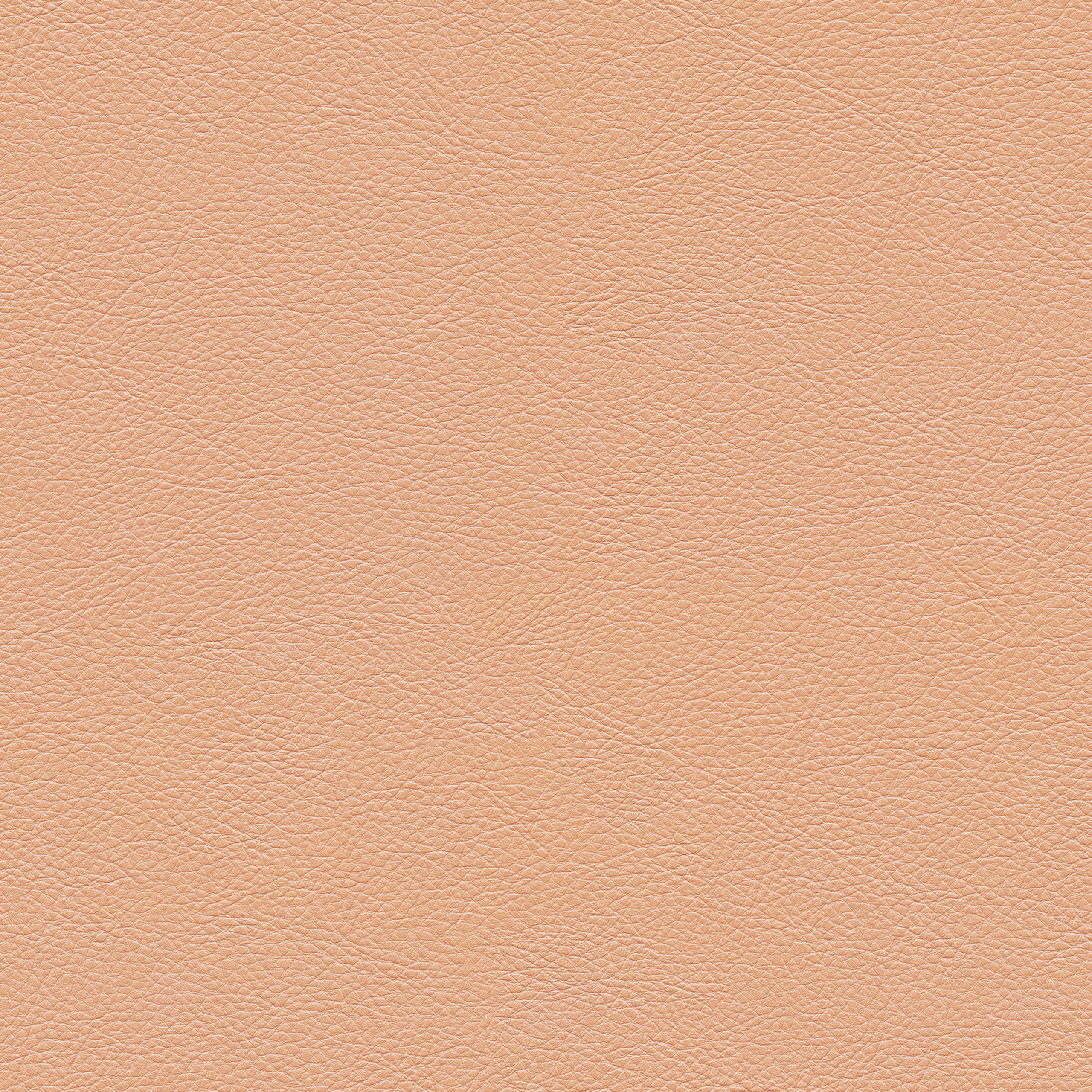 Petal